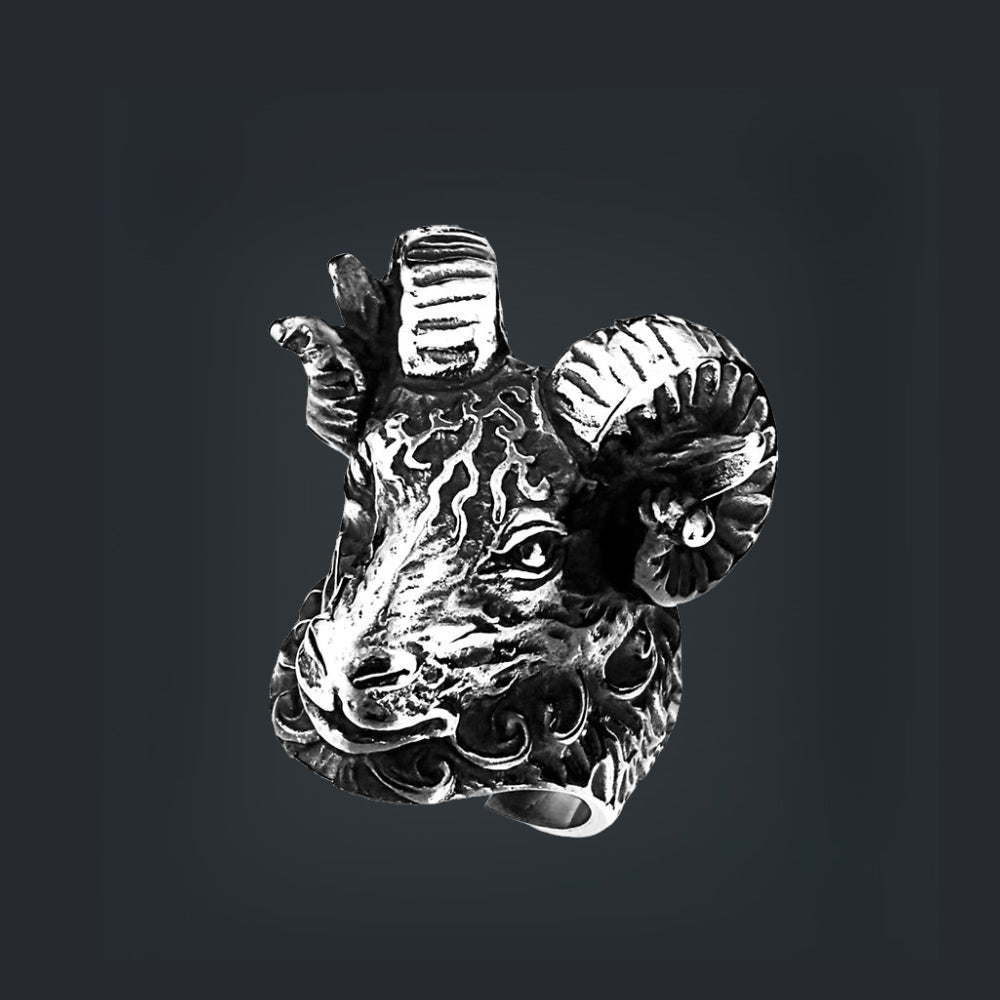 [ LINK_#09B ] 3D RAM HEAD HELIX IMPLANT